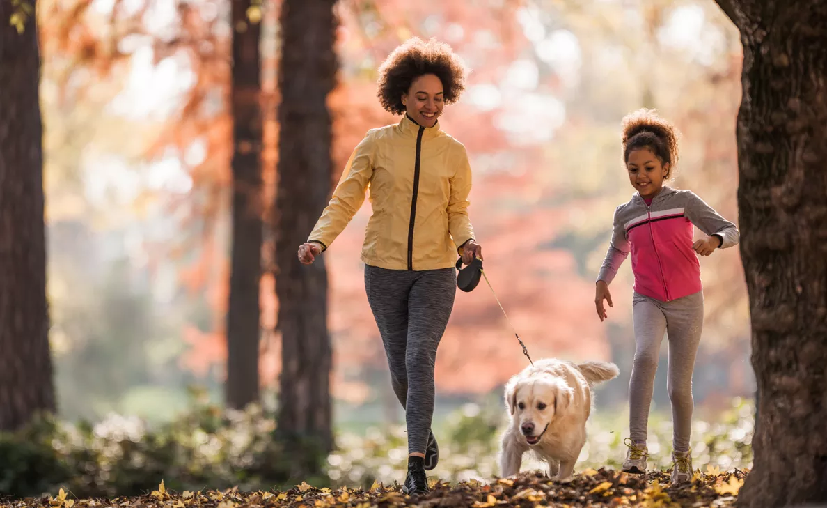 Un parent marchant dans la forêt avec son enfant et son chien.