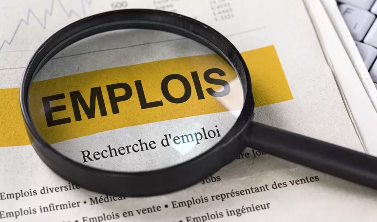 Graphique d’une feuille d’érable lumineuse sur un fond de circuit imprimé numérique.