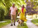 An older couple walking their dog in the park, engaged in lighthearted conversation and laughter.